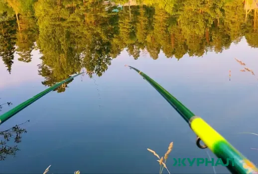 Итальянская рыба-игла поймана в Волге под Нижним Новгородом