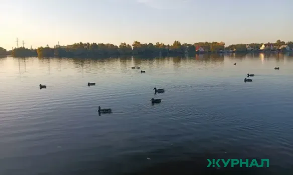 Гайдаровский пруд в Арзамасе открыт после благоустройства