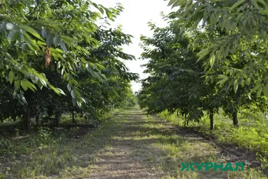 Мастер-план КРТ в Нижнем Новгороде снова отправлен на доработку